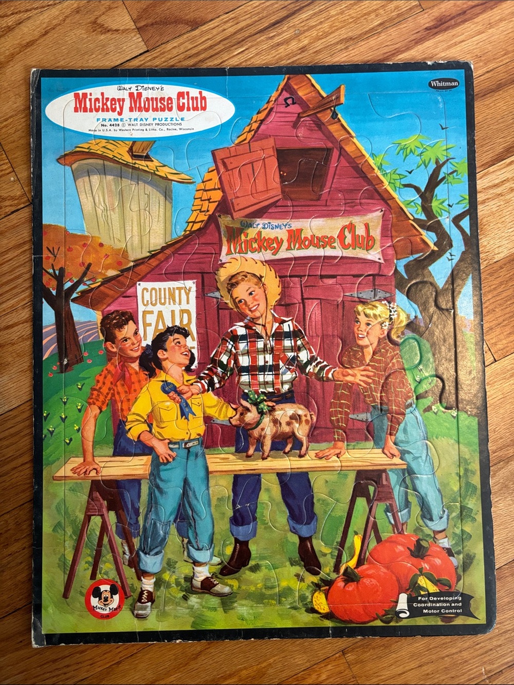 Disney Mickey Mouse Club Vintage County Fair Puzzle - Blue, Red, Yellow, Green